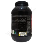 وي پروتئين دليشس QNT)1000gr) کارامل - Delicious Whey Protein 1000 G Powder (Caramel) 4